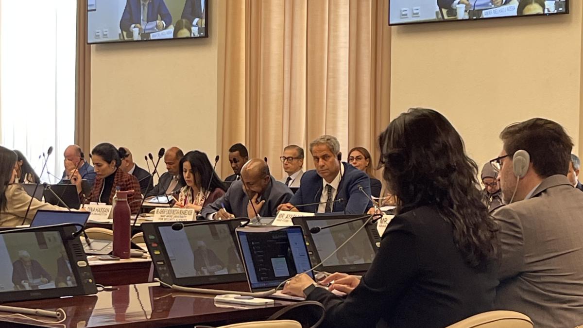 A view at the UN–League of Arab States General Cooperation Meeting in Geneva.