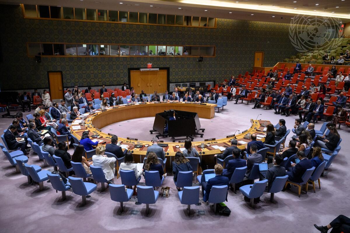 security council briefing