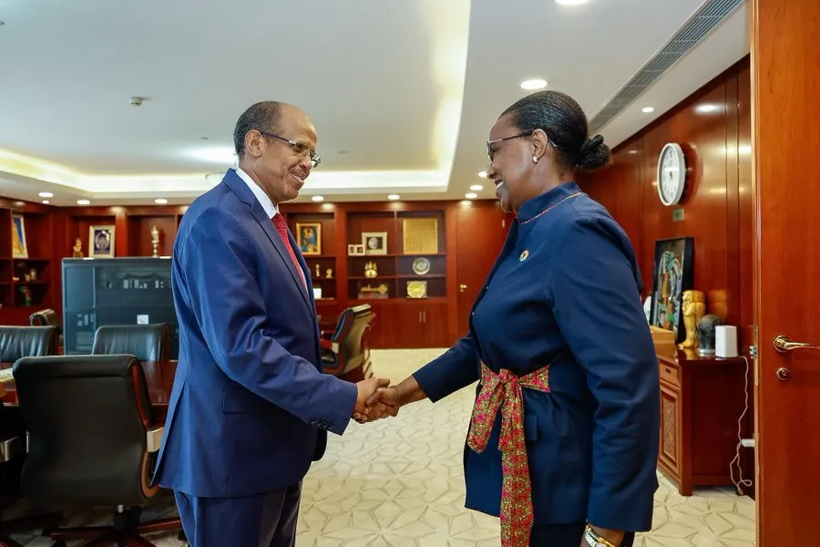 Rencontre SRSG avec president union africain1.jpg