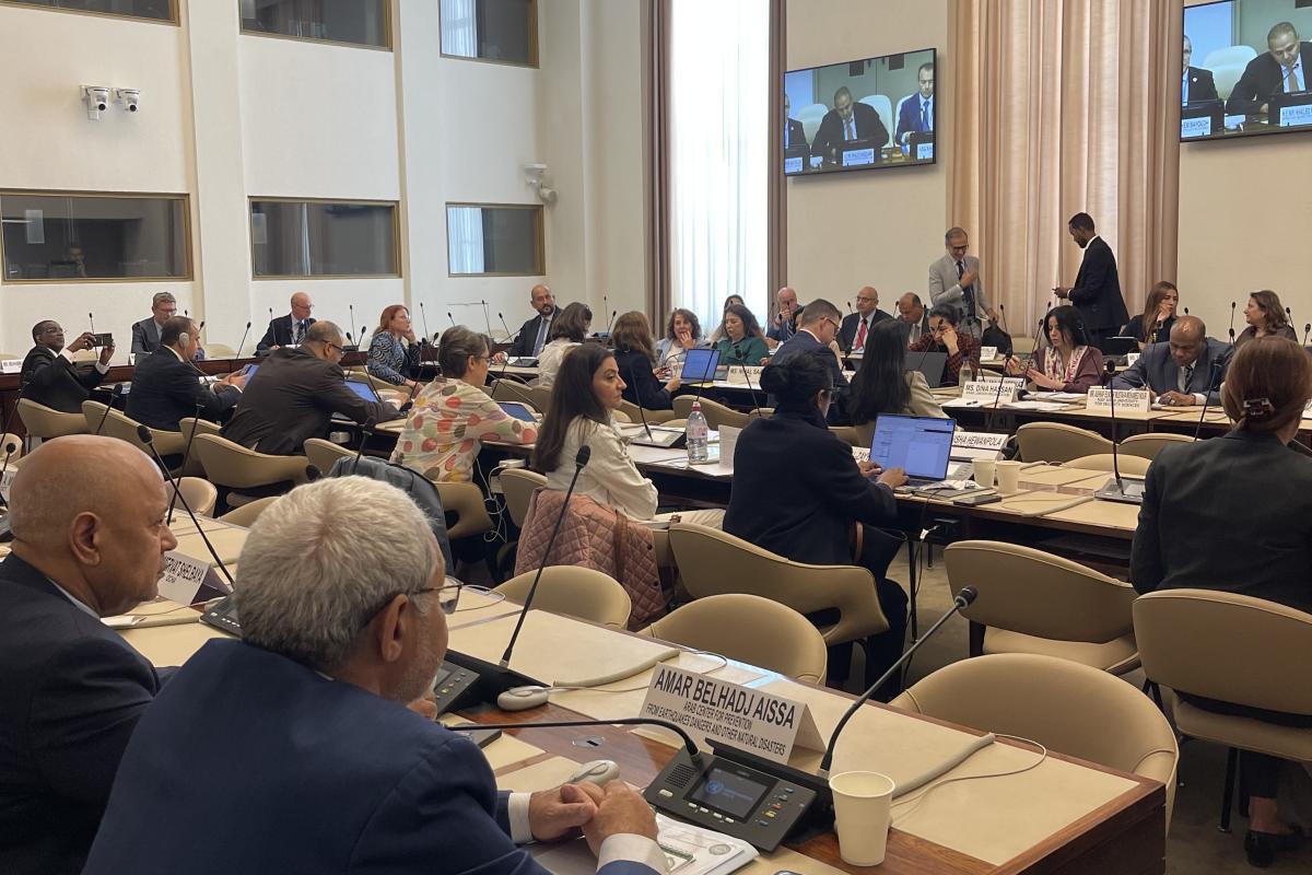 A view at the UN–League of Arab States General Cooperation Meeting in Geneva.