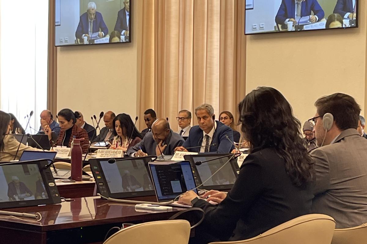 A view at the UN–League of Arab States General Cooperation Meeting in Geneva.