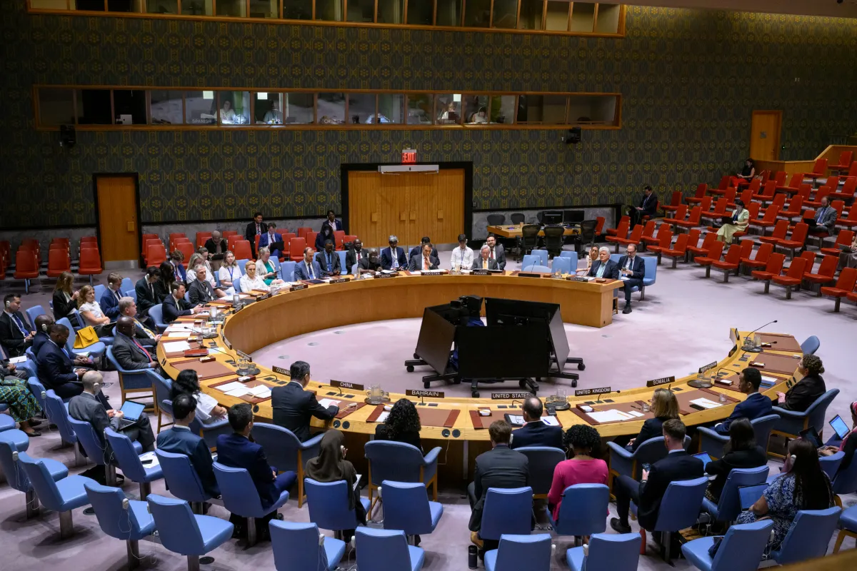 A view of the Security Council.