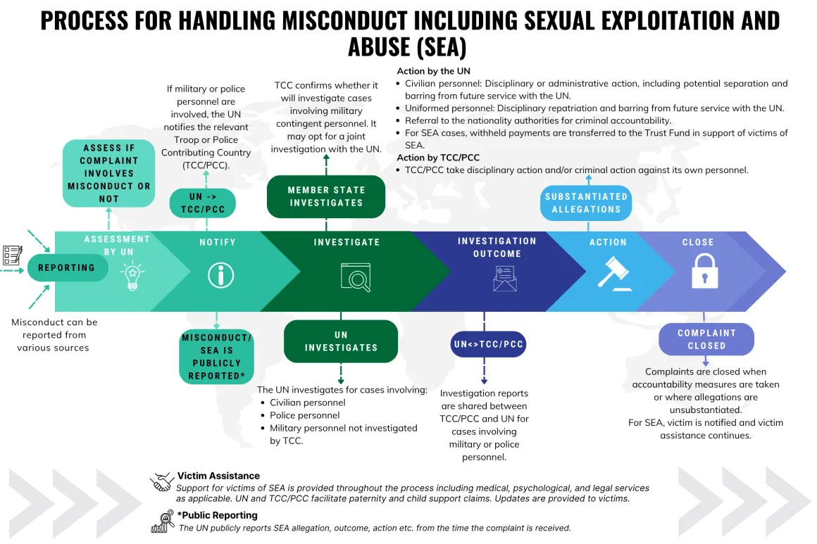 Infographic on process for SEA and non-SEA