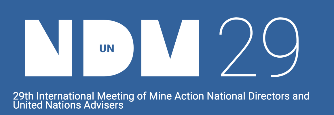 NDM29 banner
