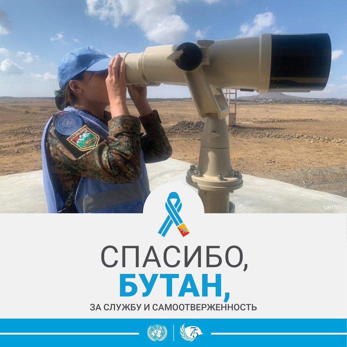 миротворцы