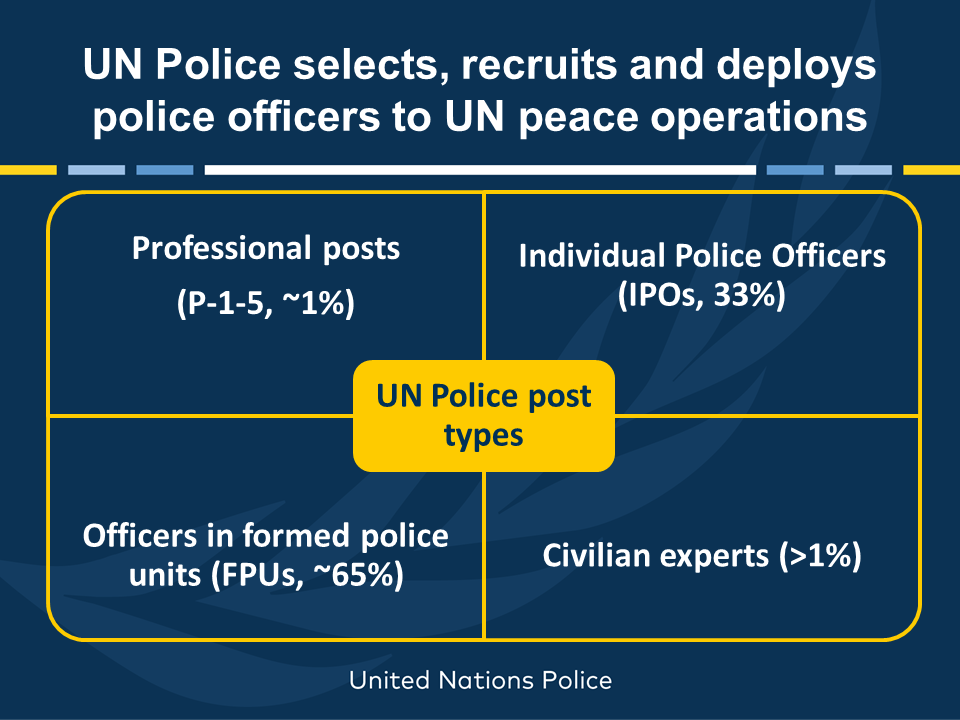 Post types of United Nations police officers.
